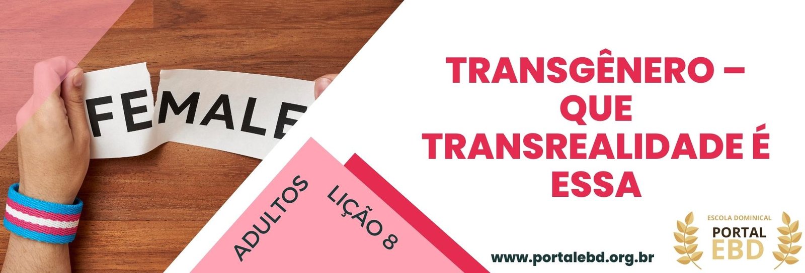 Lição 8 - Transgênero – Que transrealidade é essa III